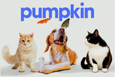 pumpkin pet insurance